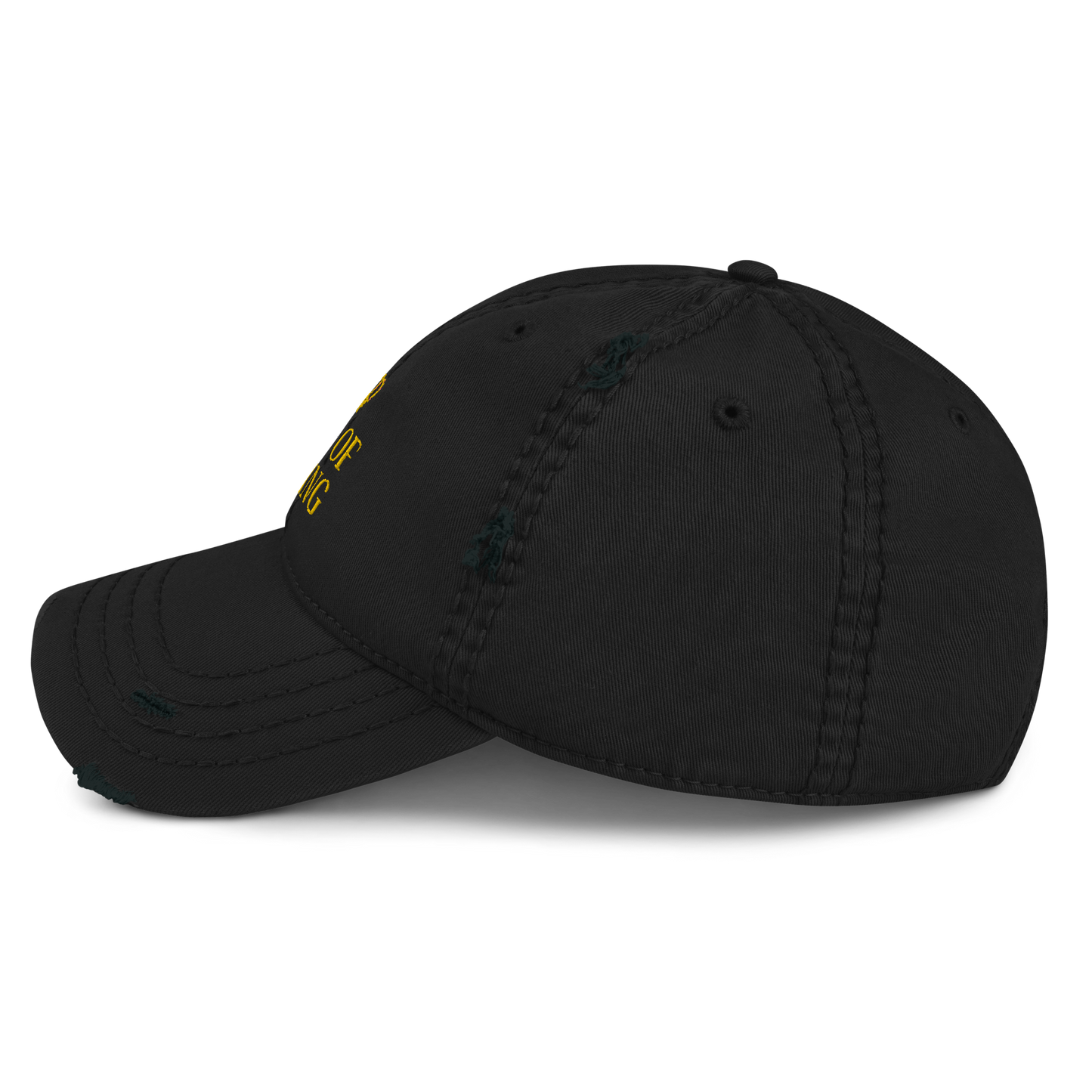 Child of the King Hat